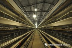 星空体育全站:三国谋定天下哔哩哔哩版