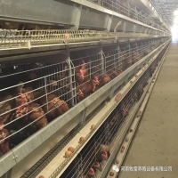 星空体育全站:八旬老太太bgmbgm性 